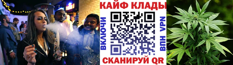 Где купить Иркутск НБОМе АМФ мега зеркало APVP ГАШ Меф мяу мяу